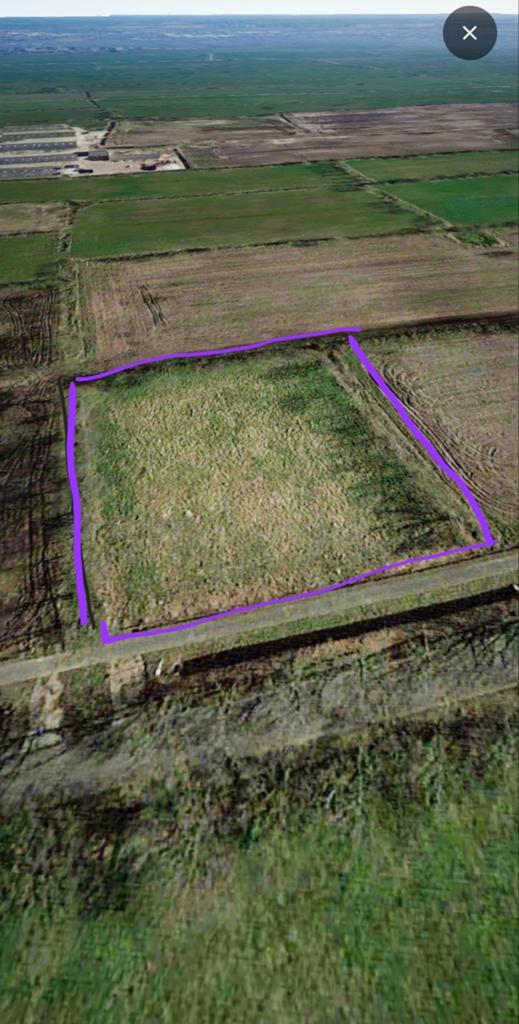 Weiland te koop boelenswei in Boelenslaan, Dieren en Toebehoren, Stalling en Weidegang