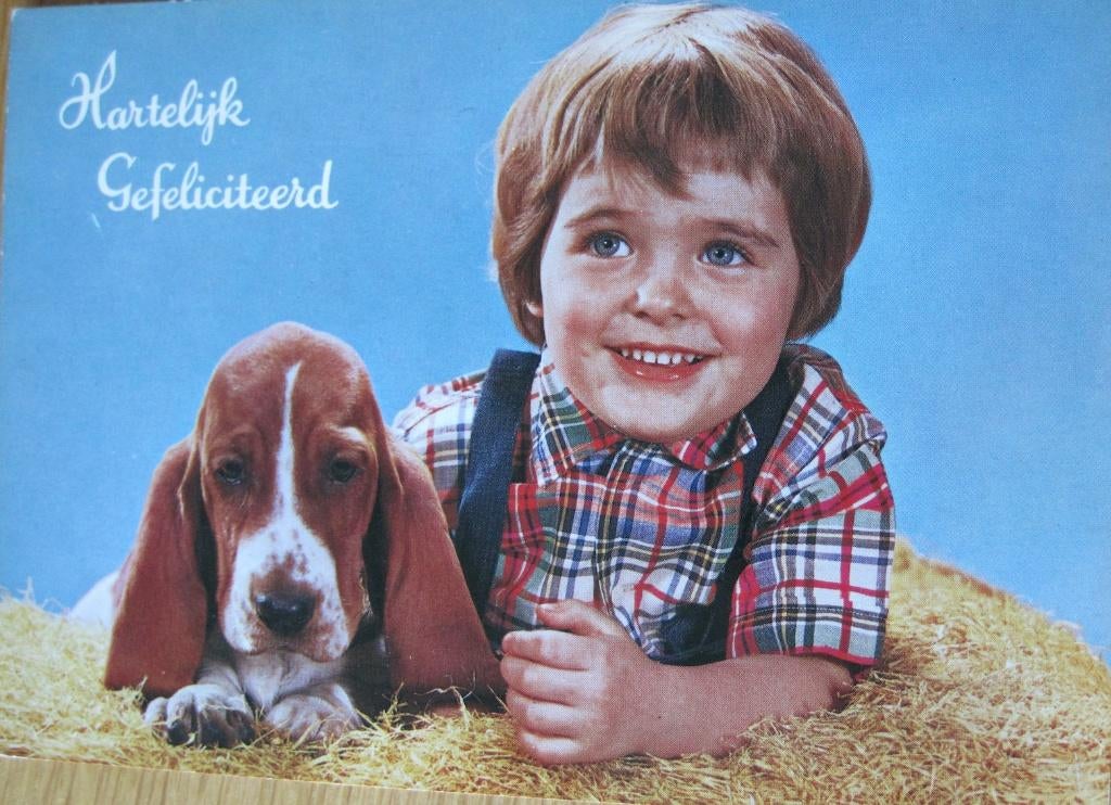 Hartelijk gefeliciteerd - jongen met basset in het stro, Verzenden, 1960 tot 1980, Gelopen, Kinderen