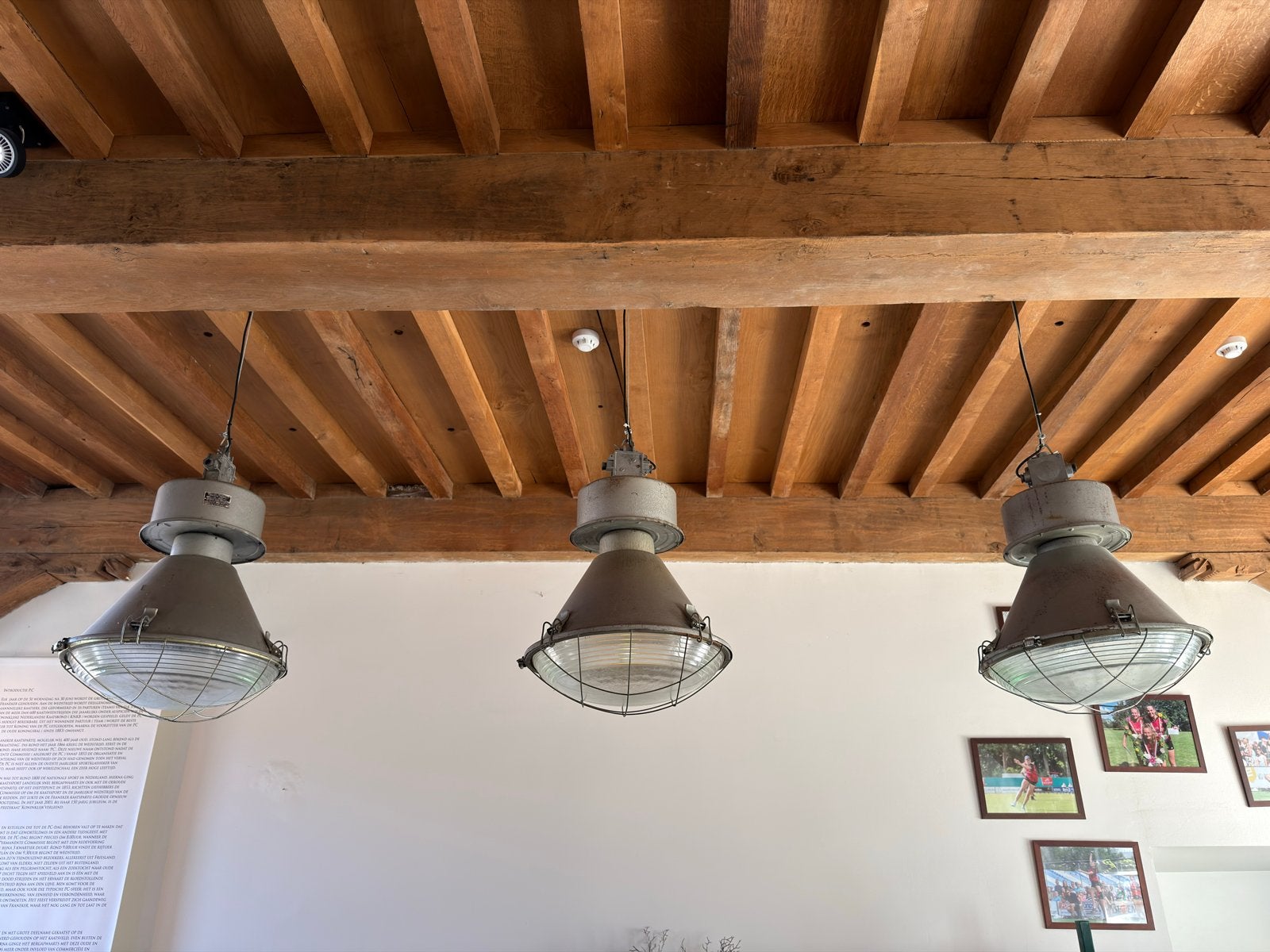 Industriële Hanglamp - Vintage Stijl - Perfecte Staat, Ophalen
