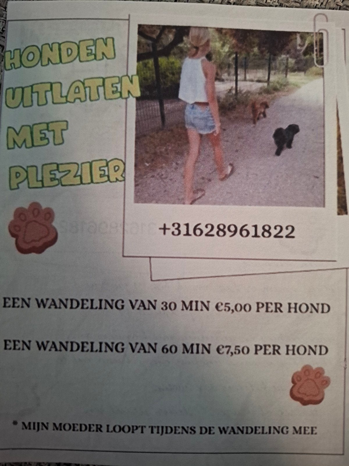 hondenuitlaten