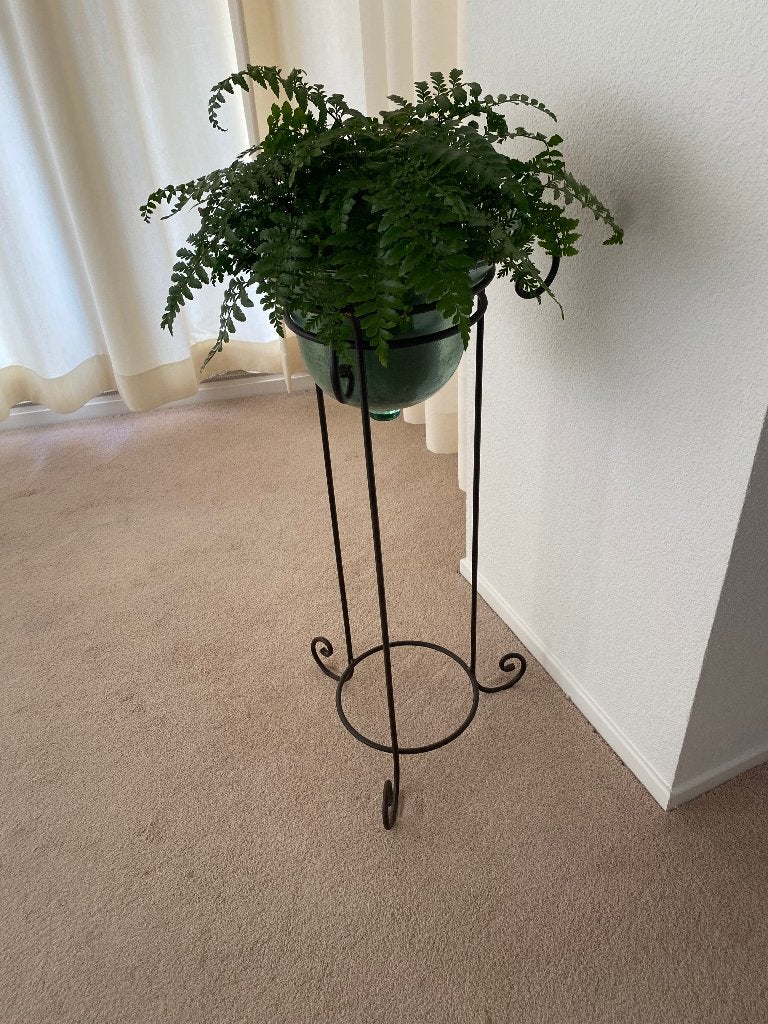 Smeedijzeren plantenstandaard, Ophalen, Gebruikt, Rond, 60 cm of meer