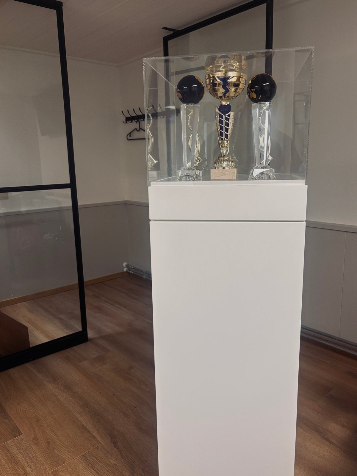 Display vitrinekast met vakken, Ophalen, Hout, Zo goed als nieuw, Modern