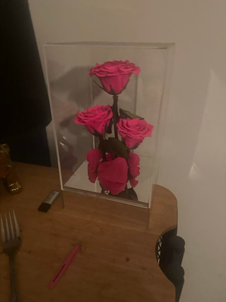 Eeuwige Rozen in Acryl Box - Roze, Ophalen of Verzenden, Zo goed als nieuw