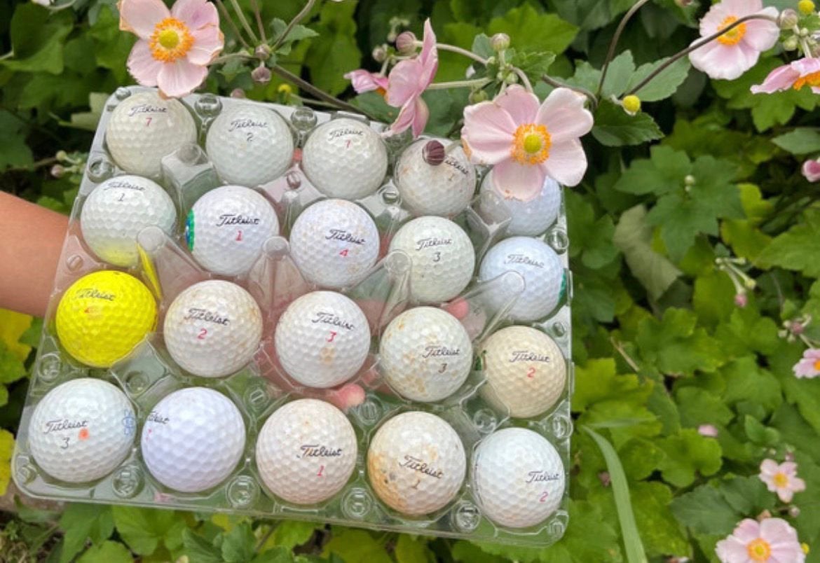 22 titleist golfballen, Sport en Fitness, Ophalen of Verzenden, Gebruikt, Bal(len)