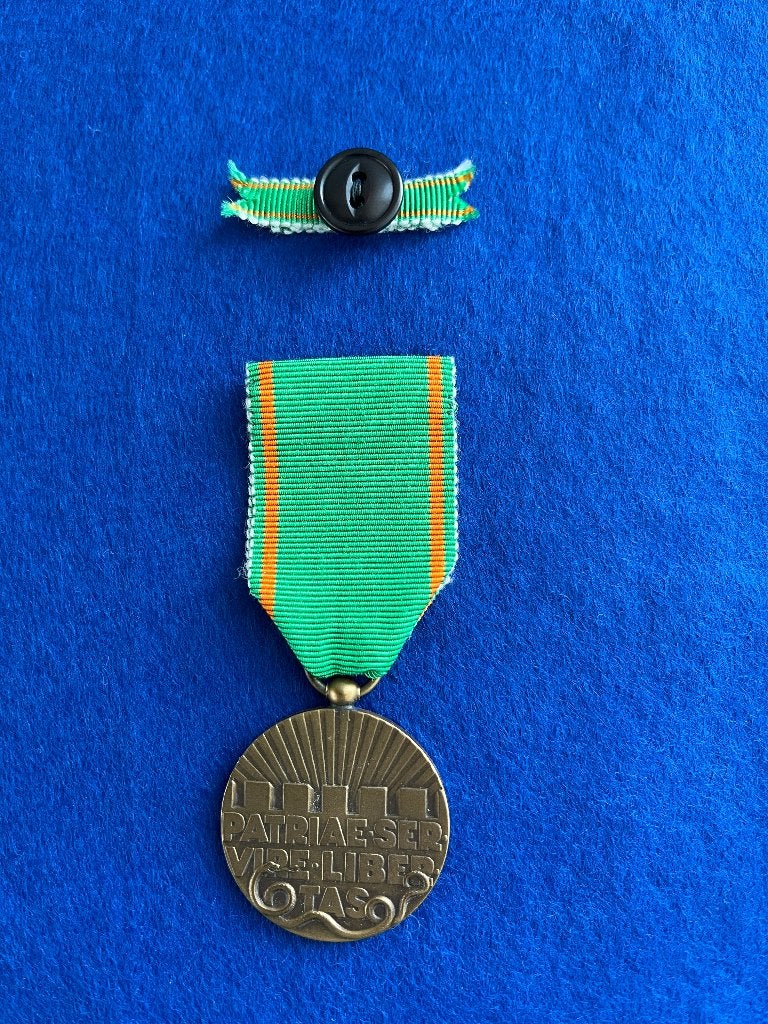 Vrijwilligersmedaille Openbare Orde en Veiligheid met baton, Ophalen of Verzenden, Overige soorten, Nederland, Lintje, Medaille of Wings
