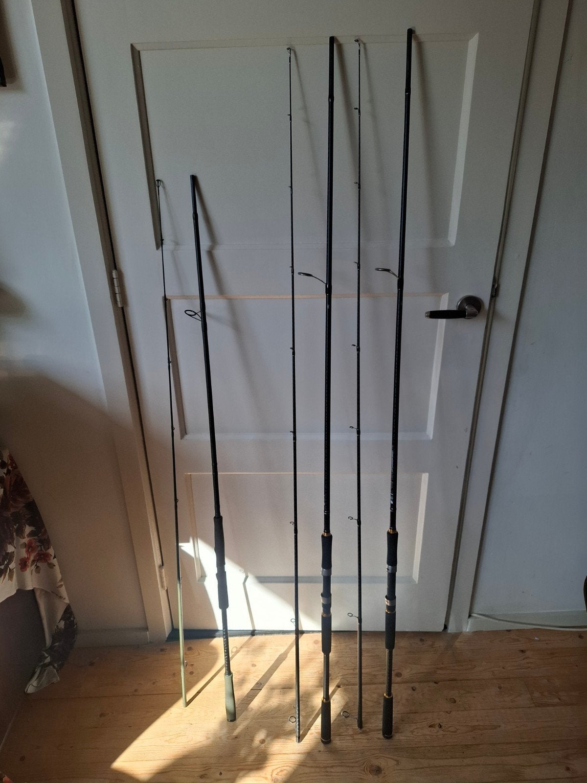 Zeebaars , snoekhengels te koop., Watersport en Boten, Ophalen, Nieuw, Werphengel