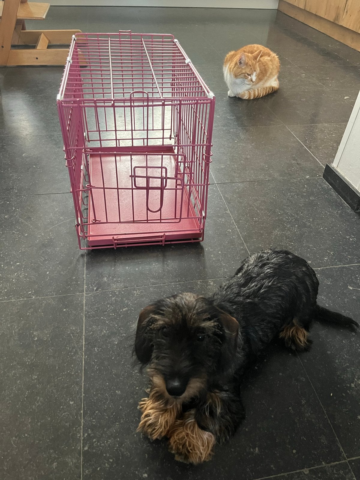 3 stuks identieke roze homden of katten bench - zgan, Ophalen, Zo goed als nieuw