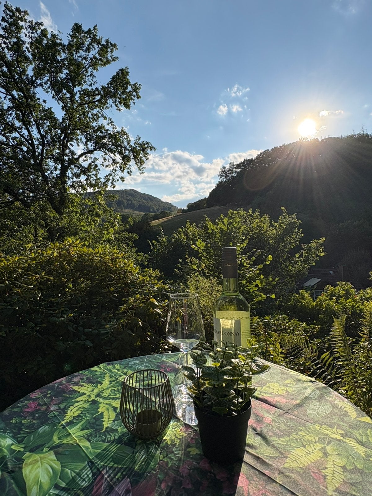 Vakantiehuis te huur Sauerland, Wasmachine, Appartement, Landelijk, Sauerland
