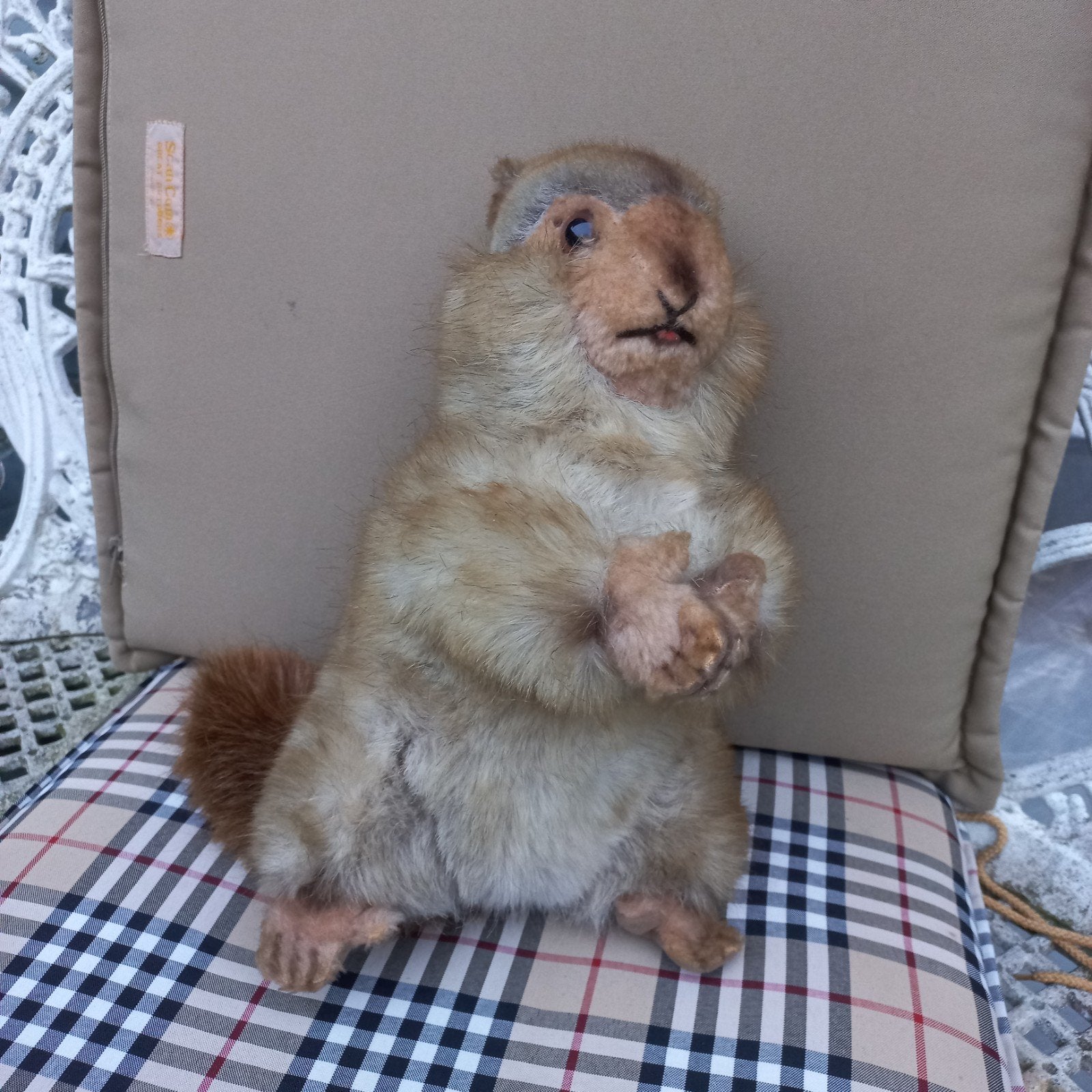 Steiff wasbeer-bever, Ophalen of Verzenden