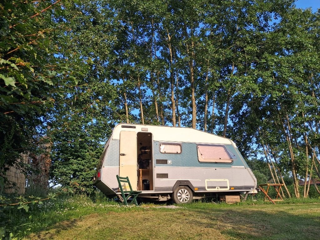 Gezellige Kip Greyline Caravan, Caravans en Kamperen, Kip, Treinzit, 750 - 1000 kg, Particulier