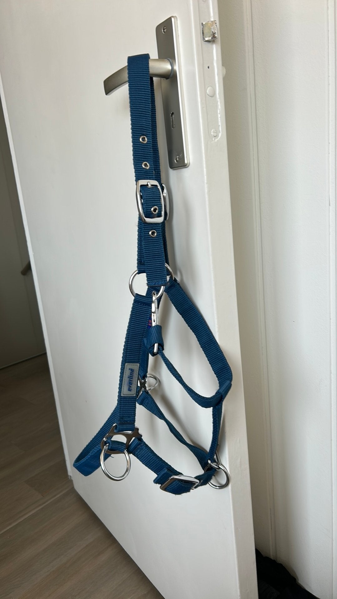 Halster cob, Ophalen of Verzenden, Zo goed als nieuw, Halster, Cob