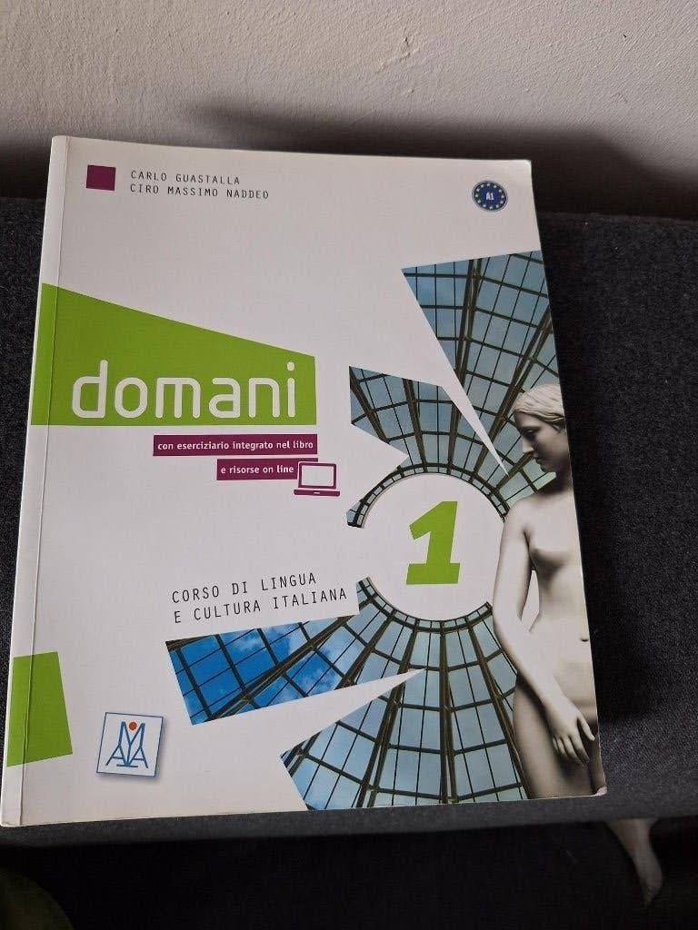 Studieboeken Italiaans Domani 1 en 2, Italiano in cinque min, Boeken, Studieboeken en Cursussen, Ophalen of Verzenden, Alpha, Zo goed als nieuw