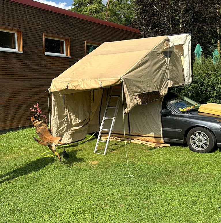 Autocamp family 190 daktent, Caravans en Kamperen, Ophalen, Gebruikt, Tot en met 2