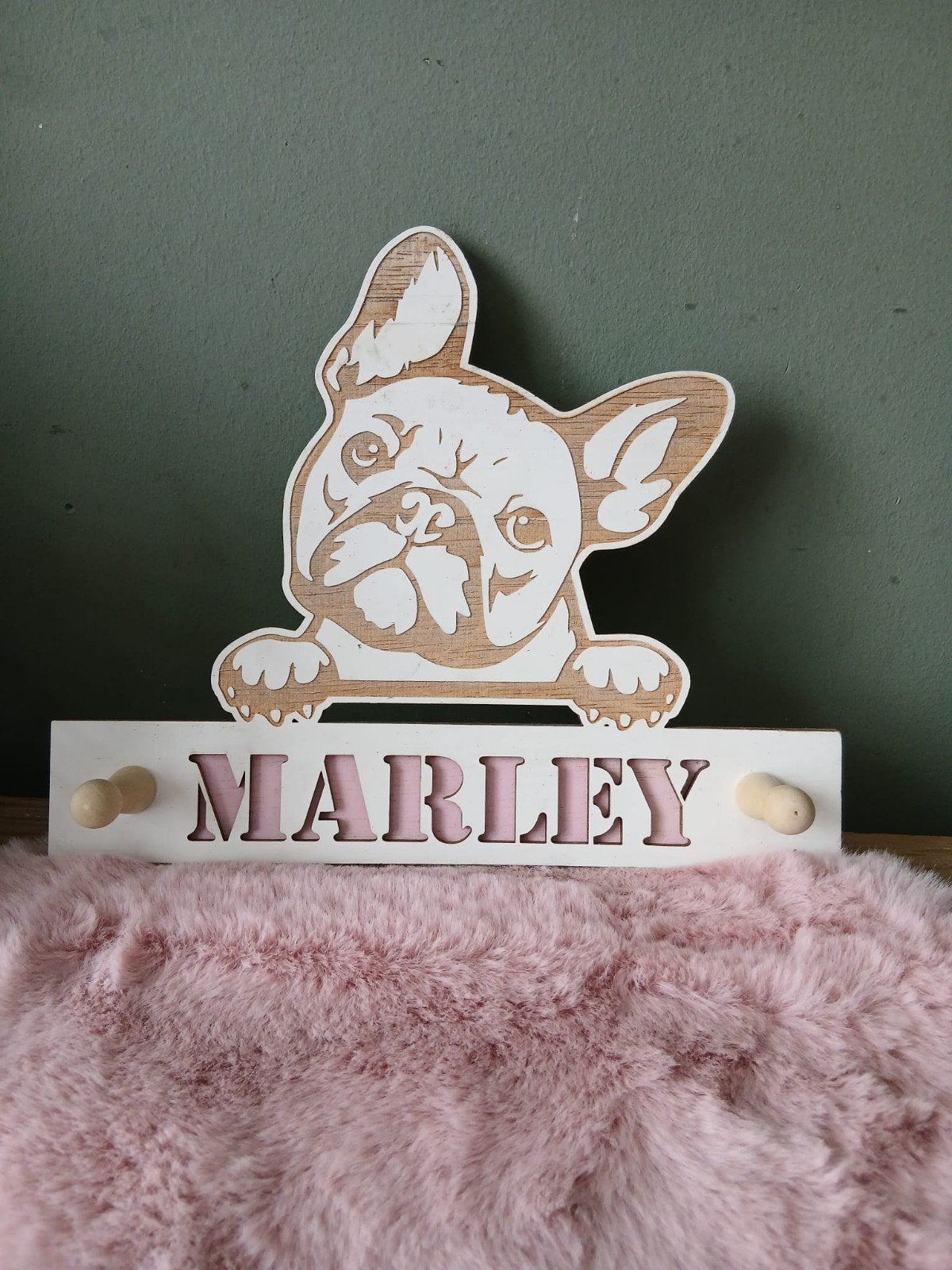 gepersonaliseerd wandbord met haakjes voor riem en halsband, Overige merken, Ophalen of Verzenden, Nieuw, Overige typen