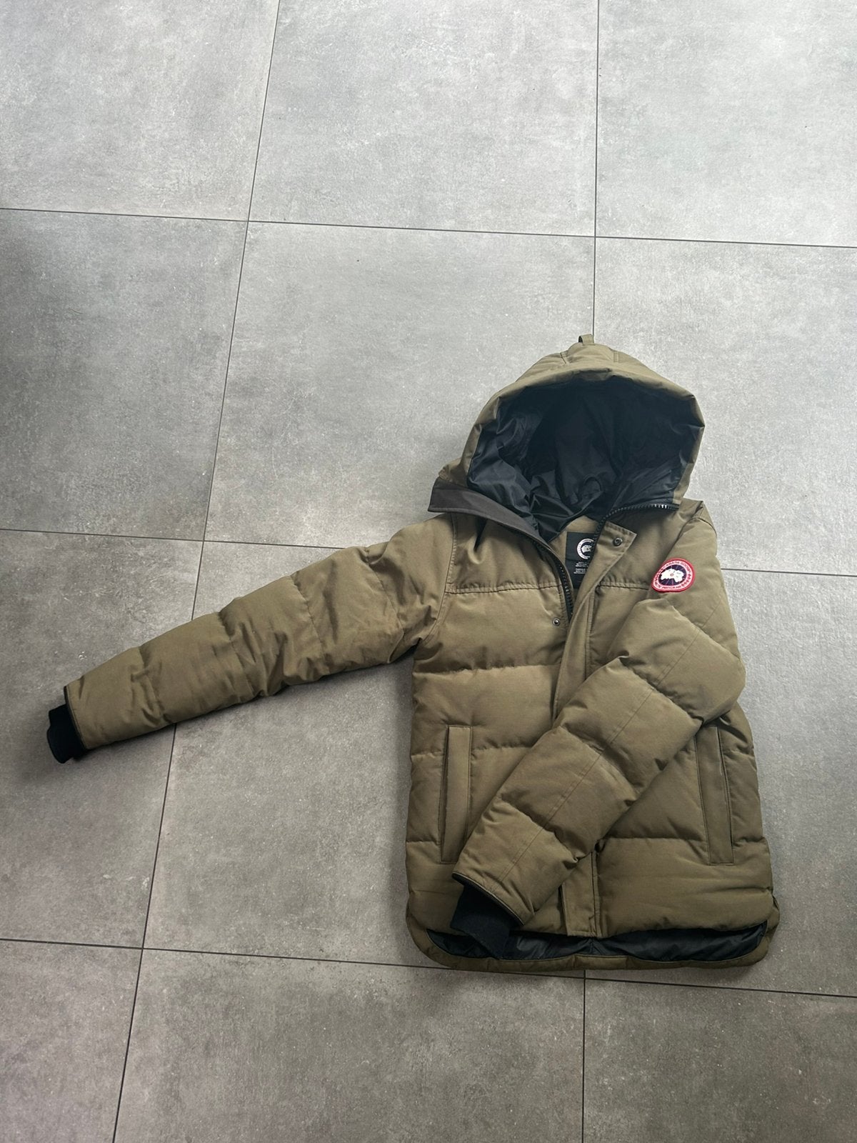 Canada goose macmillan, Ophalen of Verzenden, Nieuw, Maat 46 (S) of kleiner, Groen