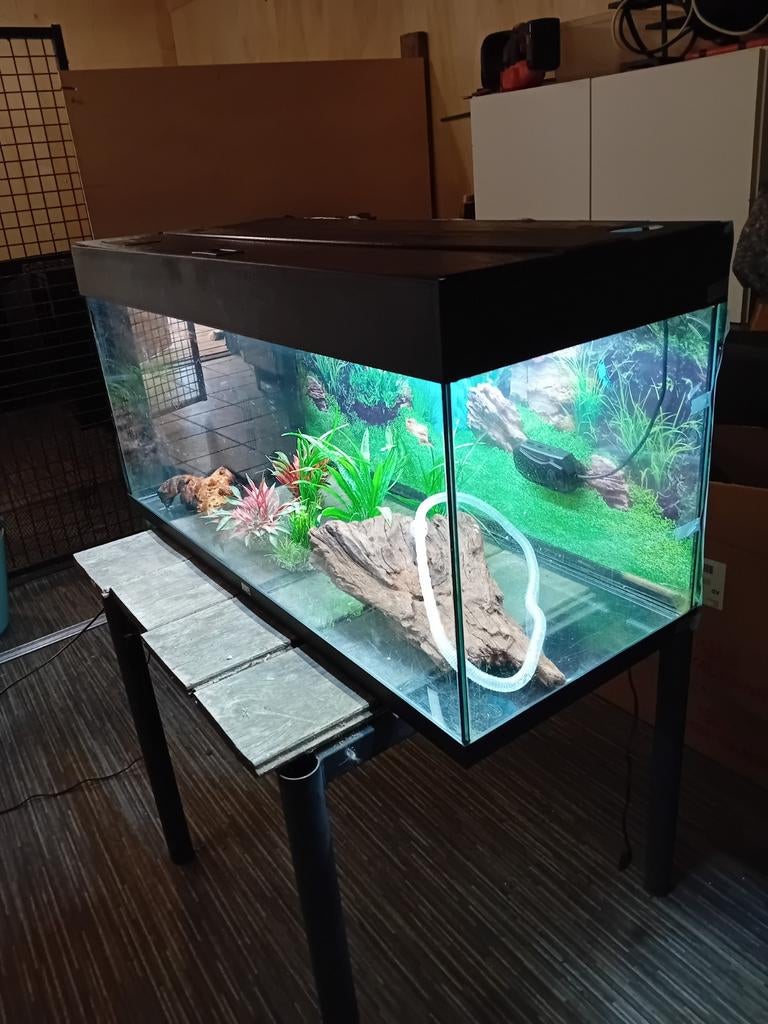 Aquarium 100 x50x40, Dieren en Toebehoren, Vissen | Aquaria en Toebehoren, Ophalen, Leeg aquarium