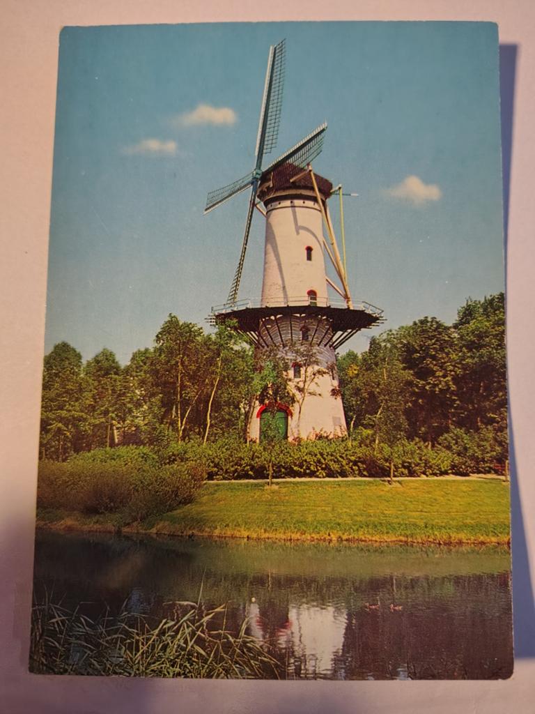 Tholen, Ophalen of Verzenden, 1940 tot 1960, Gelderland