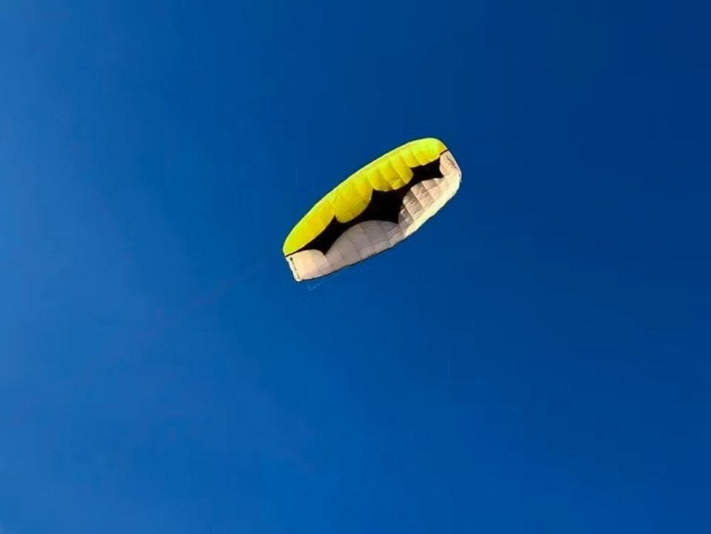 Peter Lynn Hornet 6.0  matras vlieger, Ophalen of Verzenden, Gebruikt, Vierlijns, Vlieger