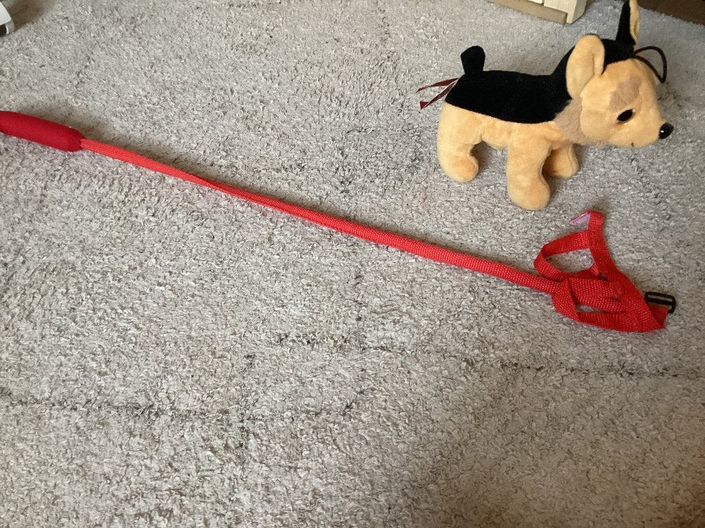 Hond met riem, Ophalen, Zo goed als nieuw