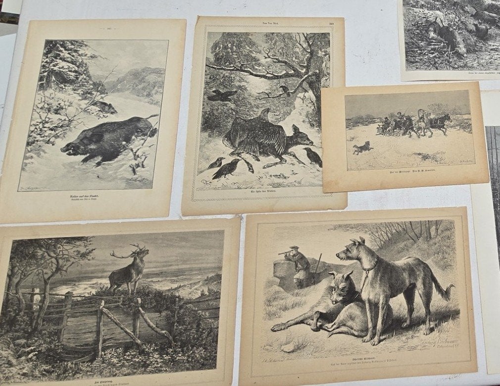 prenten/platen, jacht, honden, Rien Poortvliet etc....., Ophalen of Verzenden