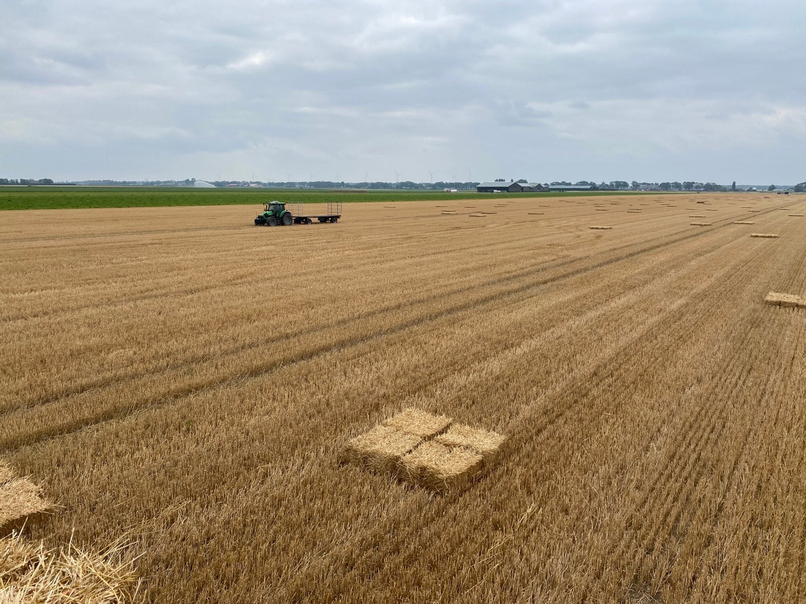 Stro kleine balen, Dieren en Toebehoren
