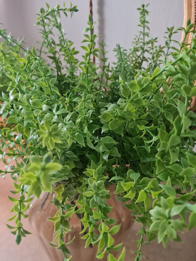 Nieuwe groene takken merk Clayre & Eef p/t 5.95, Groen, Belle Vieille Brocante, Nieuw, Ophalen of Verzenden