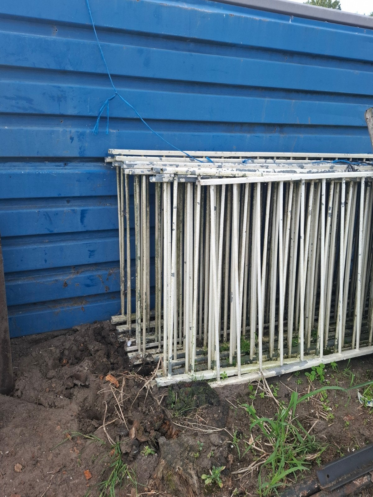 Afrastering of tuinhekken zware kwalietijd, Meerdere dieren, Schaap