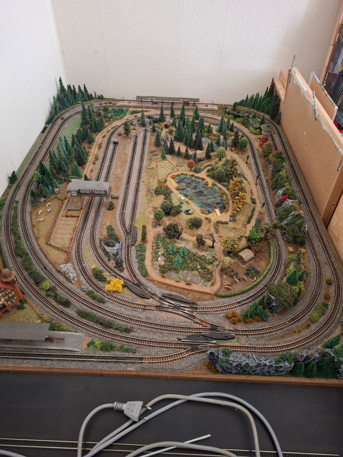 Grote modelspoorbaan met landschap en accessoires, Ophalen, Gebruikt, Gelijkstroom, Fleischmann