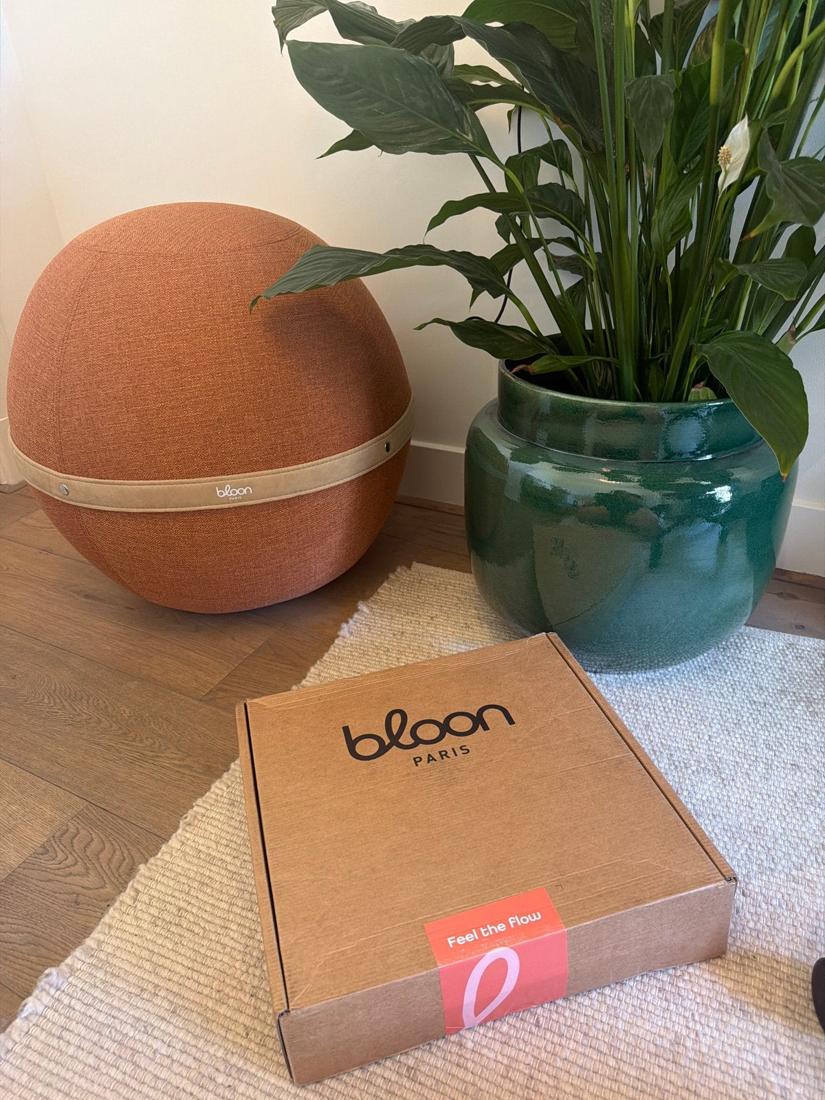 Bloon zitbal / ergonomische bureaustoel - Terracotta, Overige kleuren, Nieuw, Ophalen of Verzenden, Eén