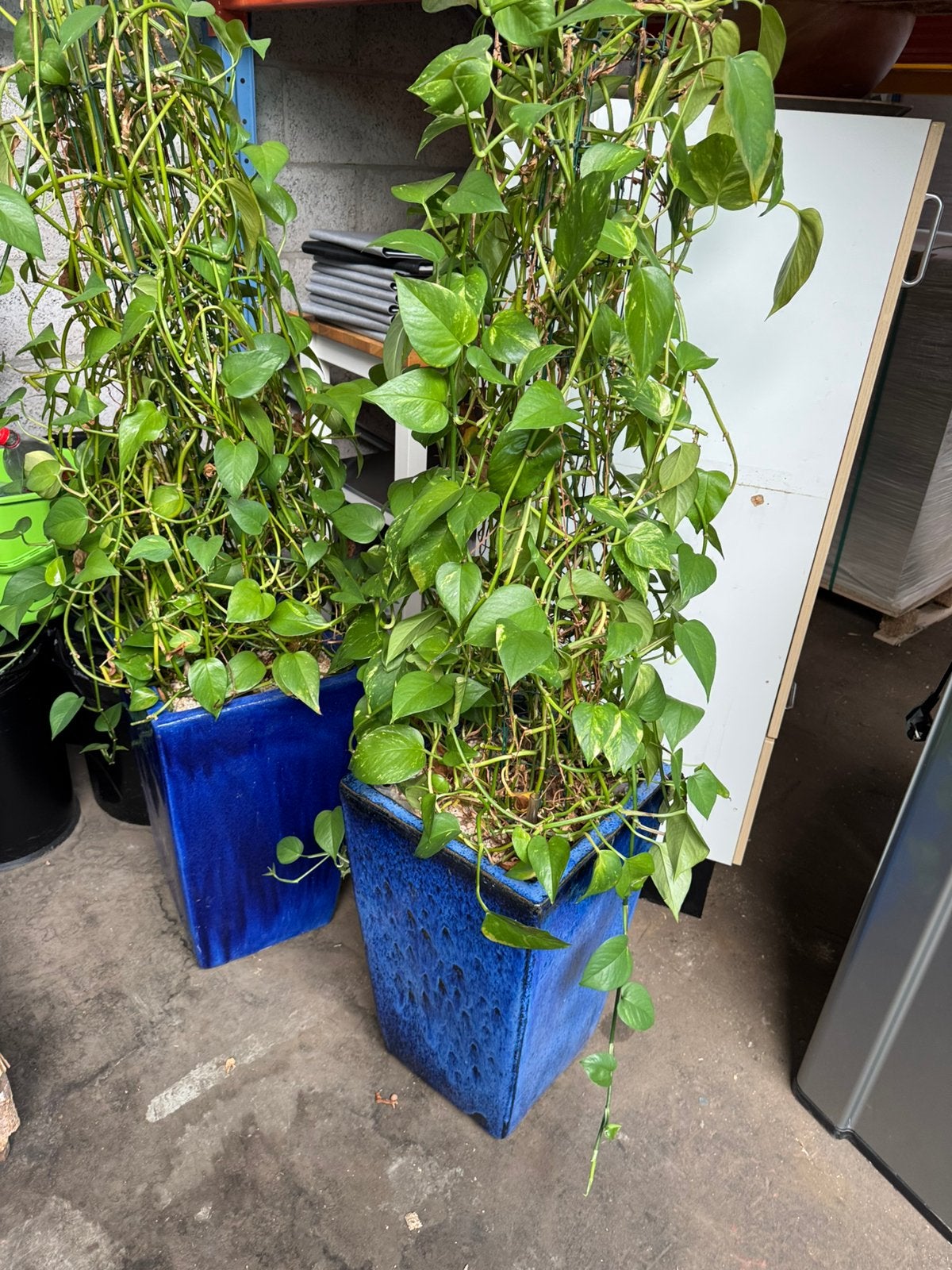 Diverse plantenbakken: 2x middel, 2x klein, vanaf;, Ophalen, Kunststof, Gebruikt, 100 cm of meer