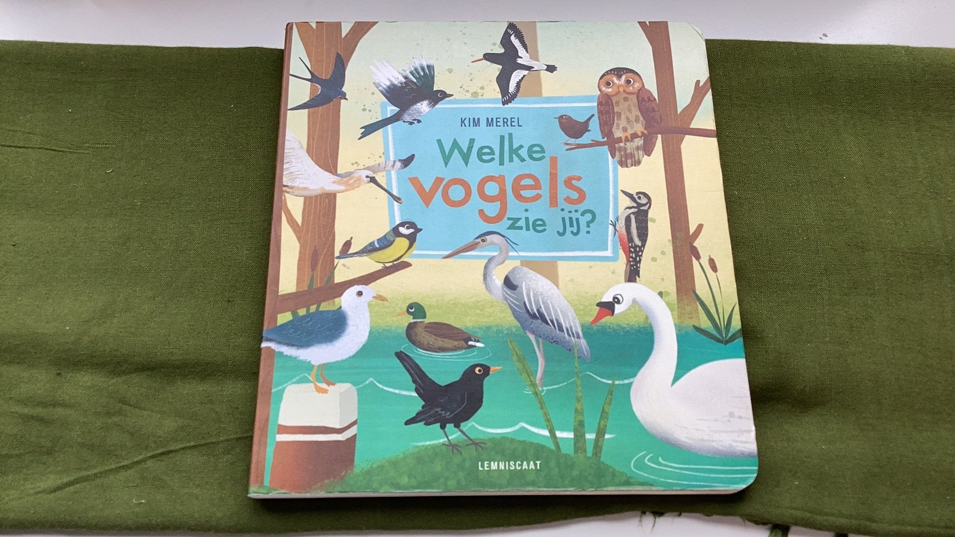 Kim Merel - Welke vogels zie jij? Kartonboekje. 3+, 3 tot 4 jaar, Ophalen of Verzenden, Zo goed als nieuw, Kim Merel