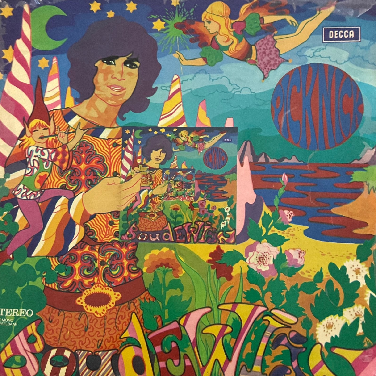 Boudewijn de Groot - Picknick, Ophalen of Verzenden, Zo goed als nieuw, 12 inch, Pop