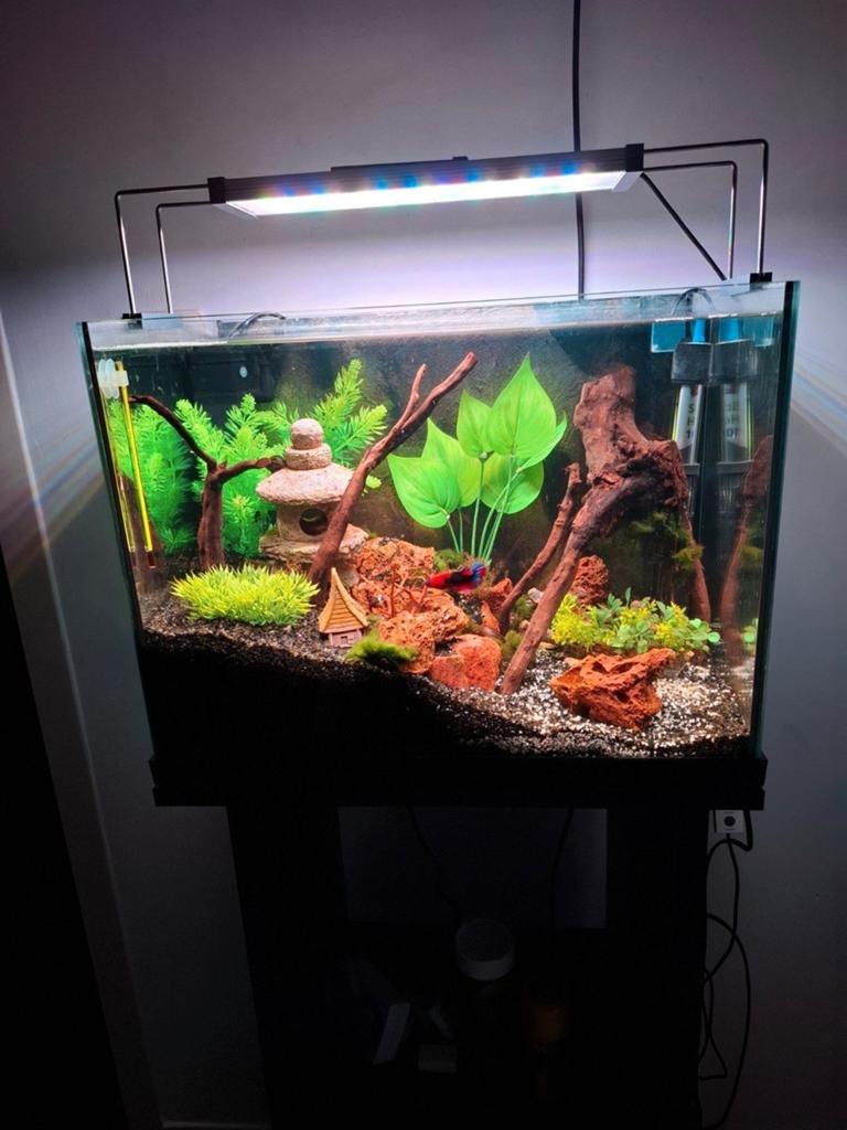 Mooi aquarium 43x33x26, Dieren en Toebehoren, Ophalen, Zo goed als nieuw, Leeg aquarium