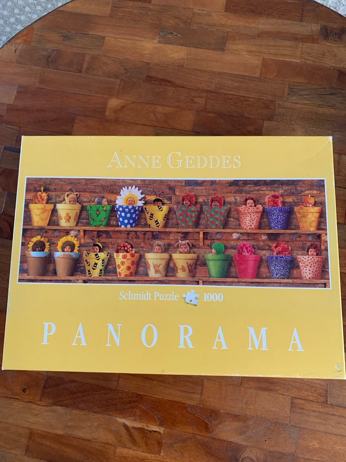 Anne Geddes Panorama Puzzel 1000 stukjes, Ophalen, 500 t/m 1500 stukjes, Zo goed als nieuw, Legpuzzel