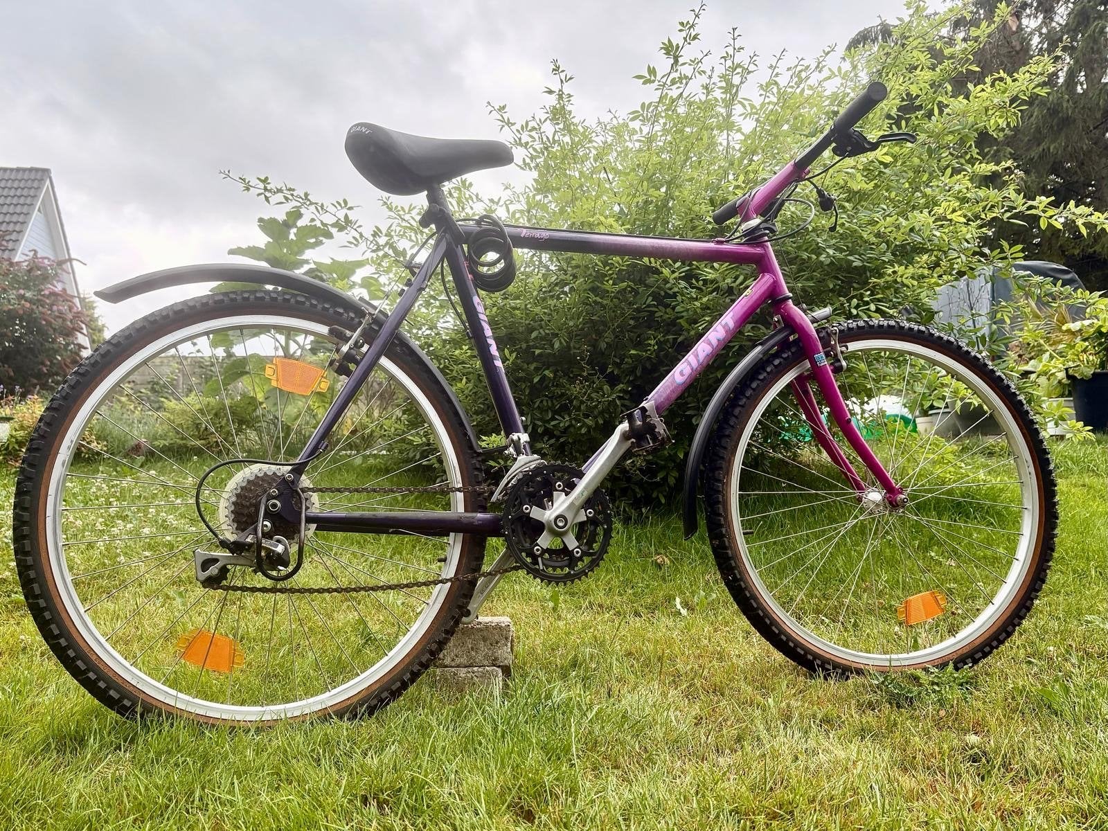 Giant Terrago Mountainbike - Vintage MTB, Ophalen, Gebruikt, Giant, Geen vering