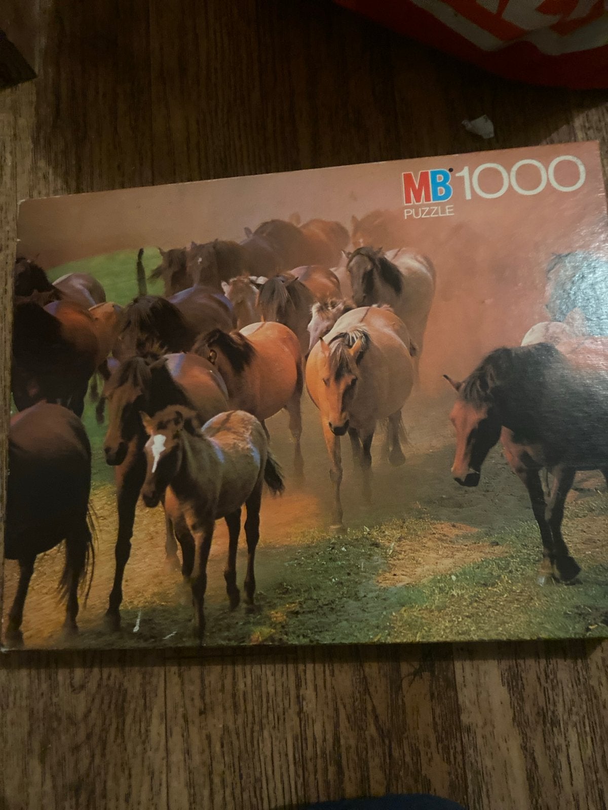 MB 1000 Stukjes Puzzel - Wilde Paarden, Ophalen of Verzenden, 500 t/m 1500 stukjes, Zo goed als nieuw, Legpuzzel