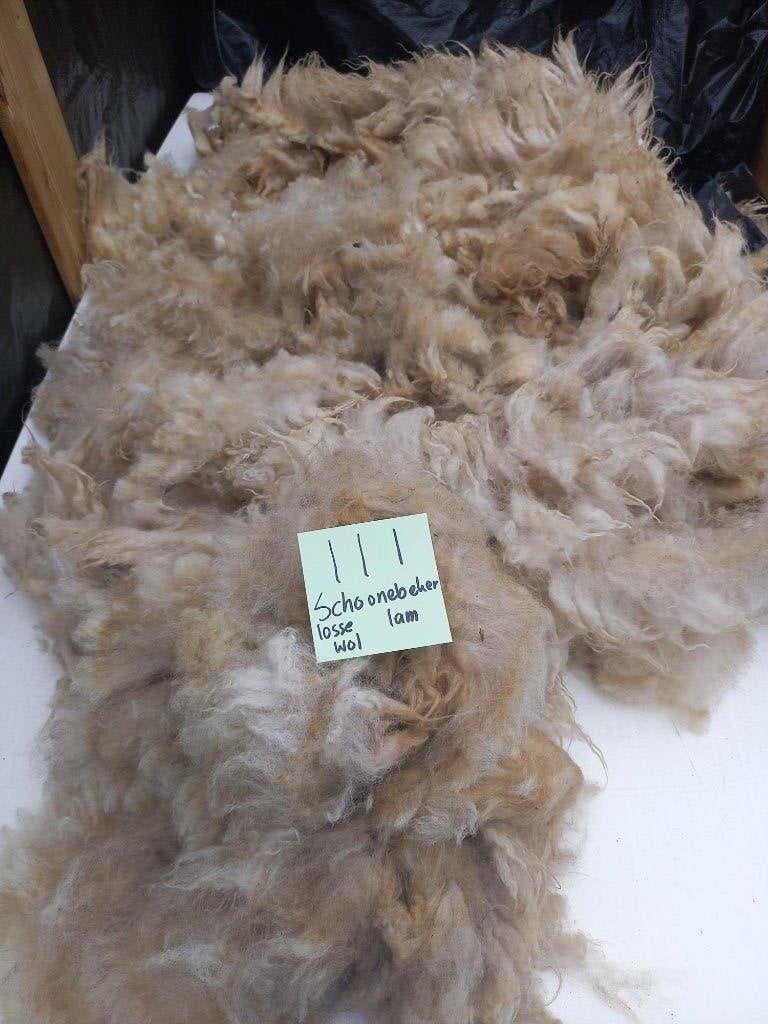 nr 111 Losse wol van Schoonebeeker heideschaap lam, Ophalen of Verzenden, Nieuw