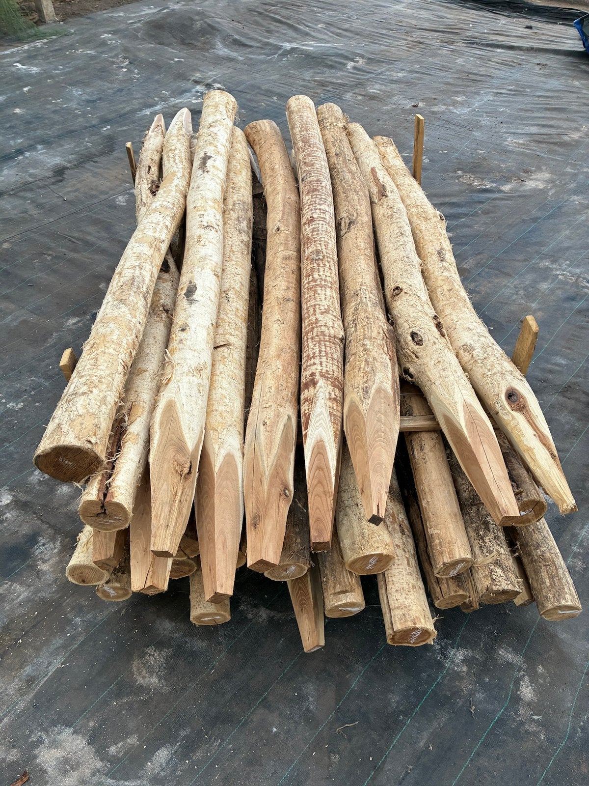 Partij robinia palen, Ophalen, Nieuw, 180 tot 250 cm, Palen