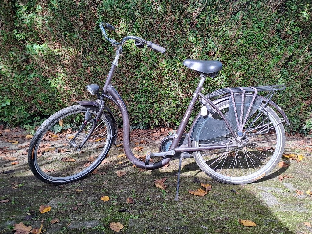 Fiets met verlaagde instap, Ophalen, Terugtraprem, Sparta, Minder dan 47 cm