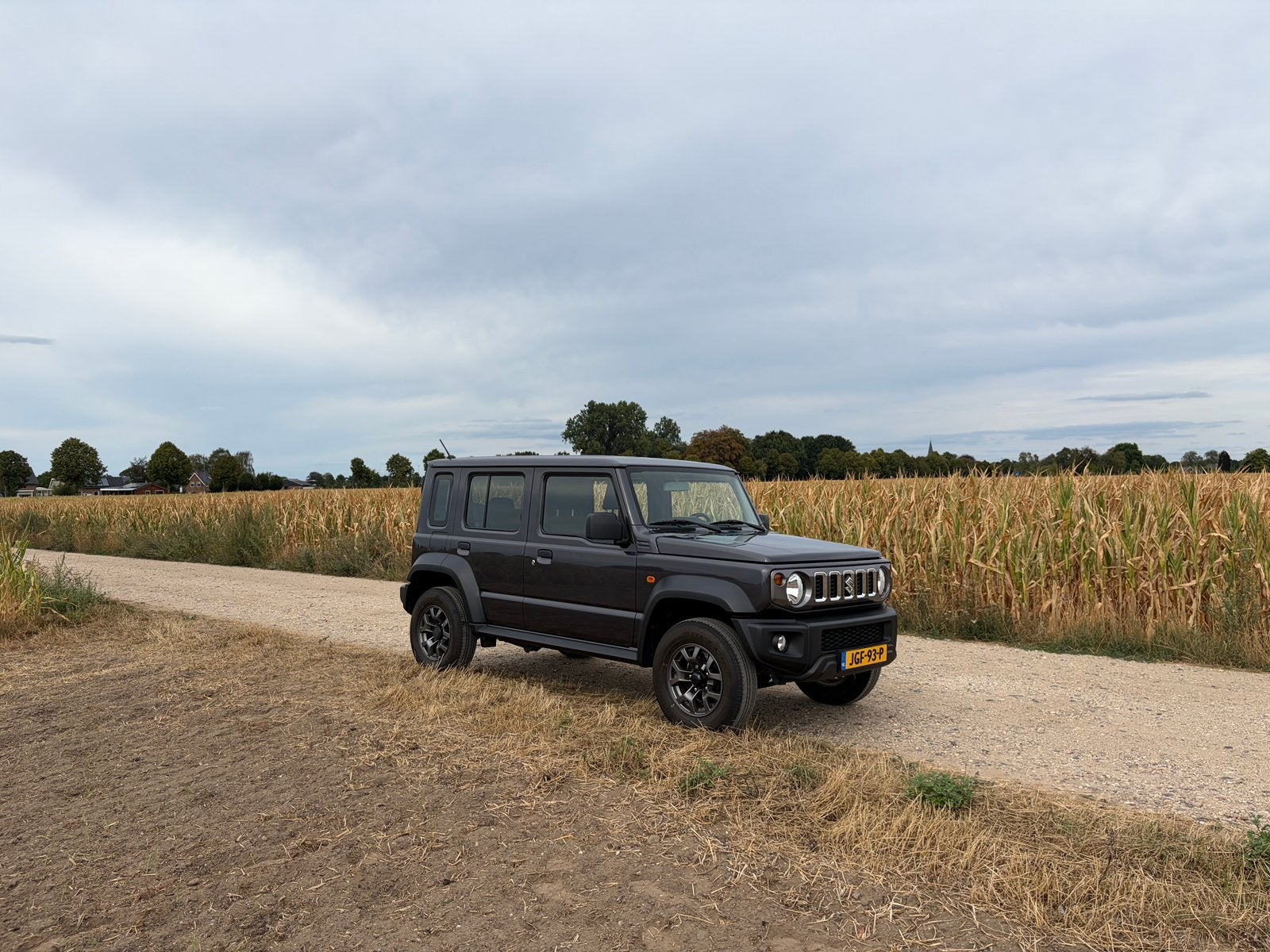 Suzuki 2024 Grijs, Auto's, Stof, 4 cilinders, 4 stoelen, 102 pk
