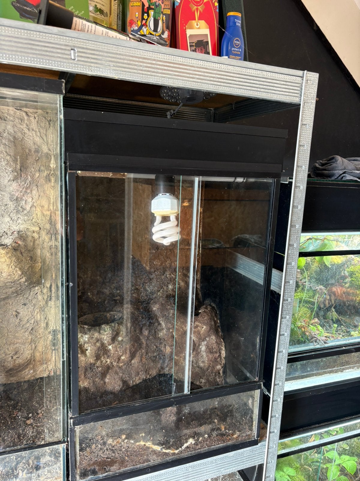 Paludarium 40X40X60, Dieren en Toebehoren, Ophalen, Terrarium of Paludarium
