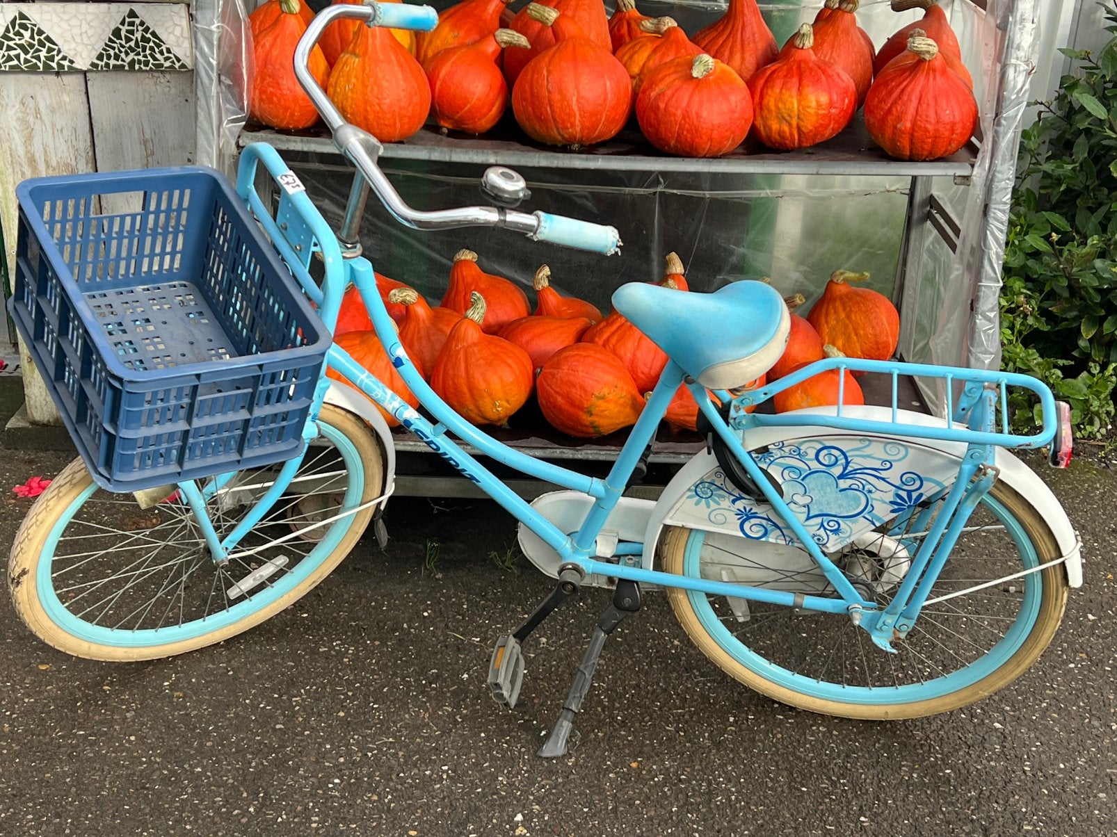 Meiden transport fiets 24 inch, Ophalen, Gebruikt, 24 inch, Versnellingen