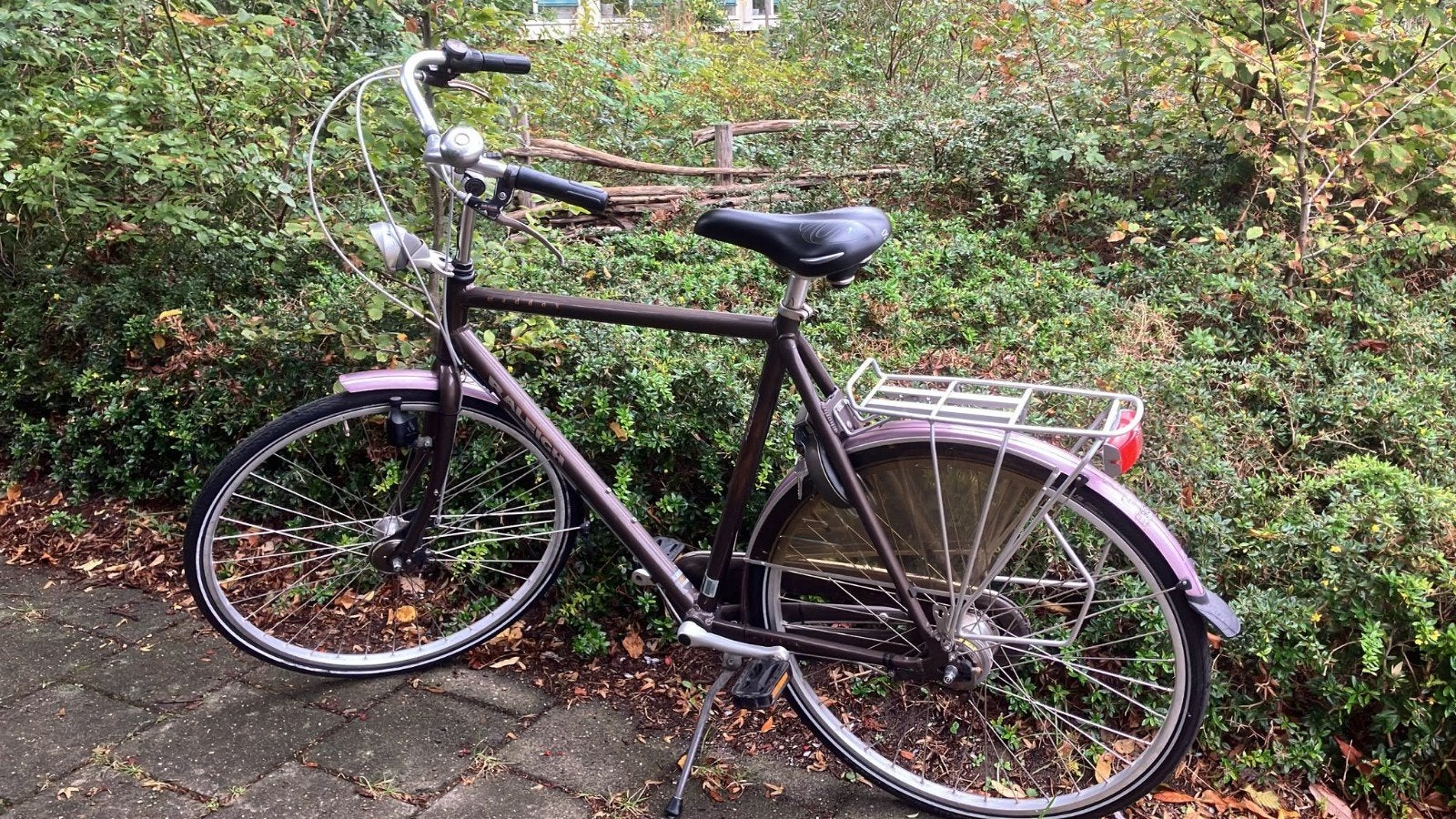 Herenfiets Raleigh 61 cm, Fietsen en Brommers, Ophalen, Gebruikt, Overige merken, Versnellingen