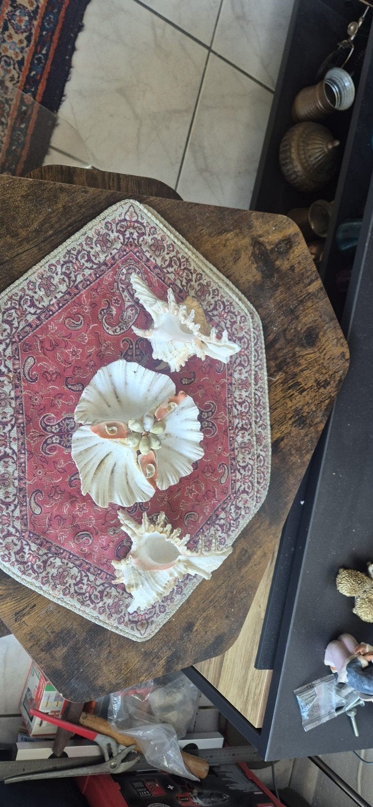 Decoratieve schelpen schaal en losse schelpen, Gebruikt, Beige, Overige stijlen, Ophalen of Verzenden
