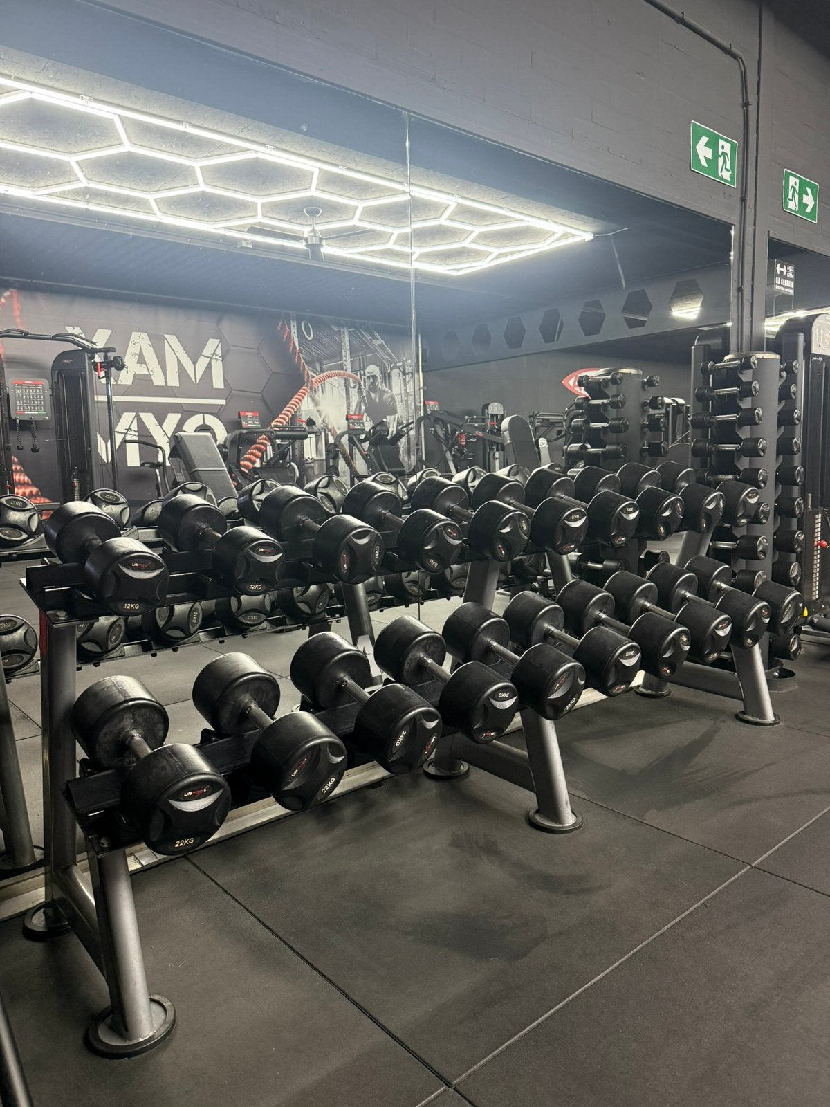 LifeMaxx dumbel set 12 t/m 30 KG, Sport en Fitness, Ophalen, Gebruikt, Dumbbell