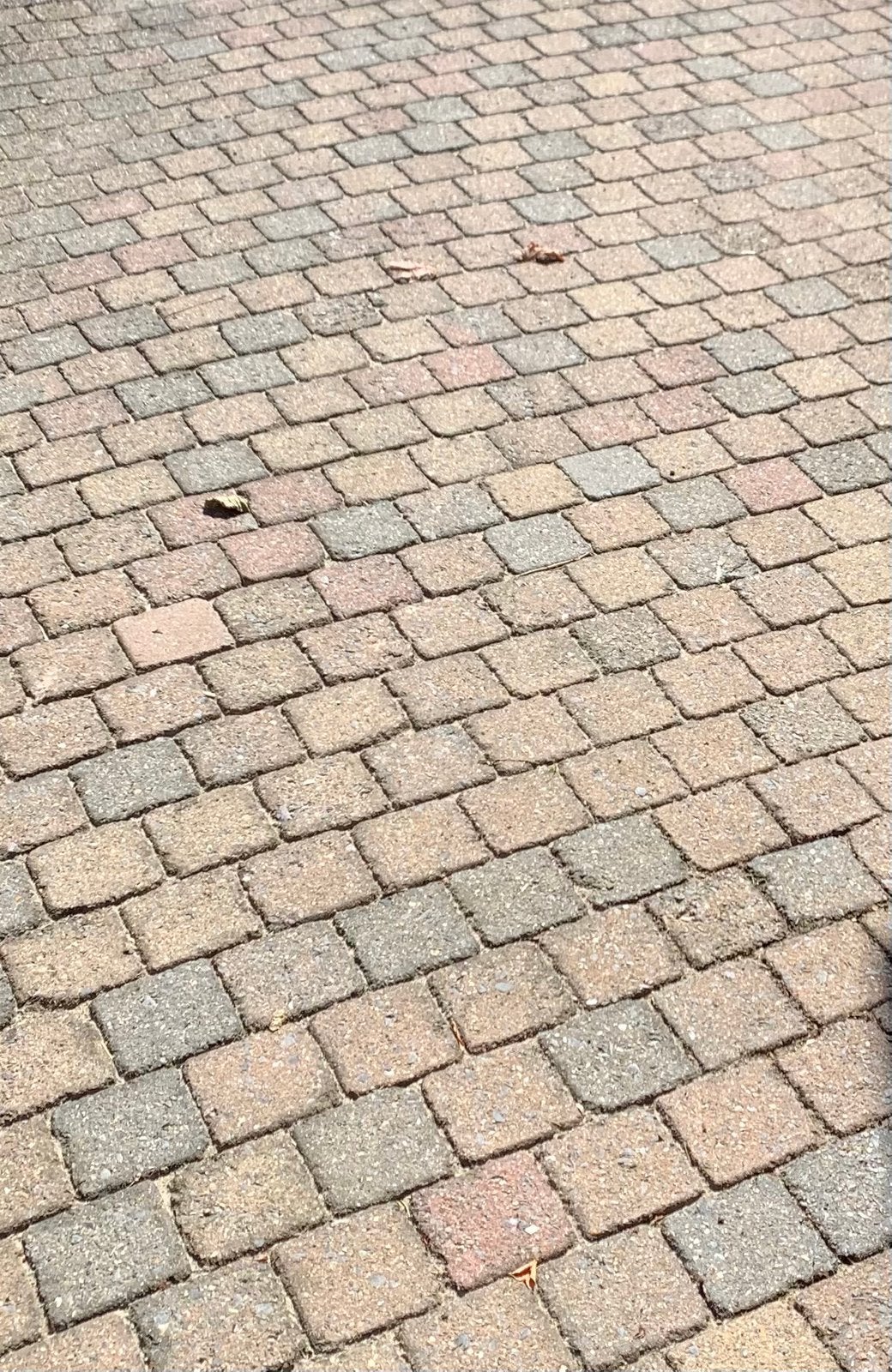 GRATIS ongeveer 58 vierkante meter cobblestones, Tuin en Terras, Ophalen, Gebruikt, Klinkers, 10 m² of meer