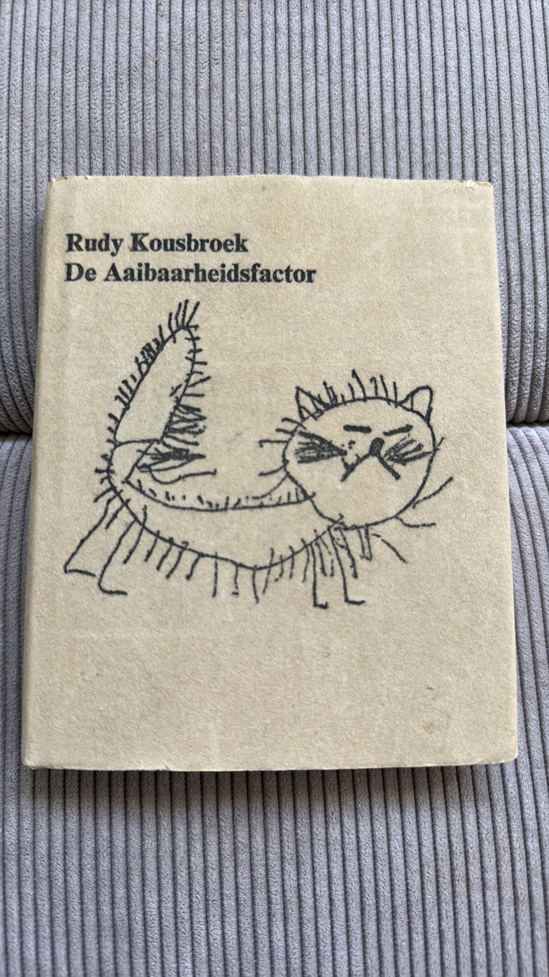 Rudy Kousbroek De aaibaarheidsfactor, Ophalen of Verzenden, Zo goed als nieuw