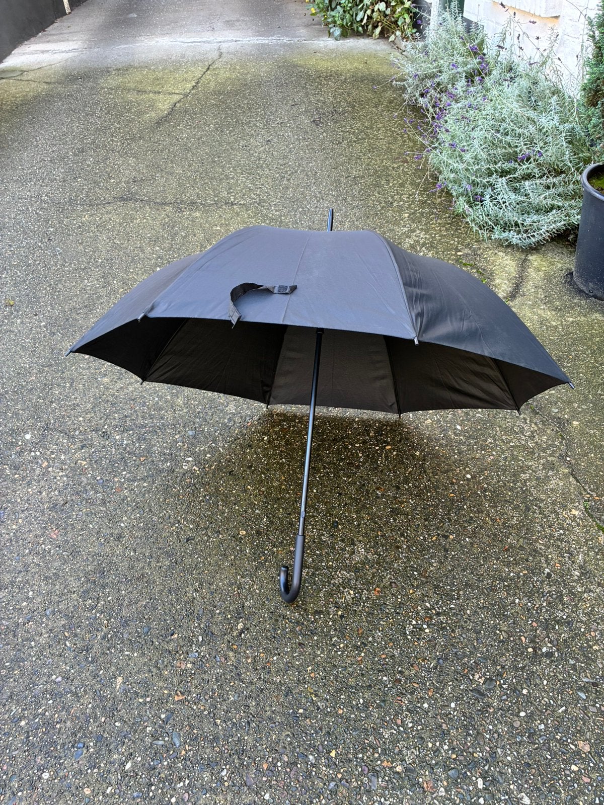Paraplu, Sieraden, Tassen en Uiterlijk, Ophalen, Zo goed als nieuw, Zwart