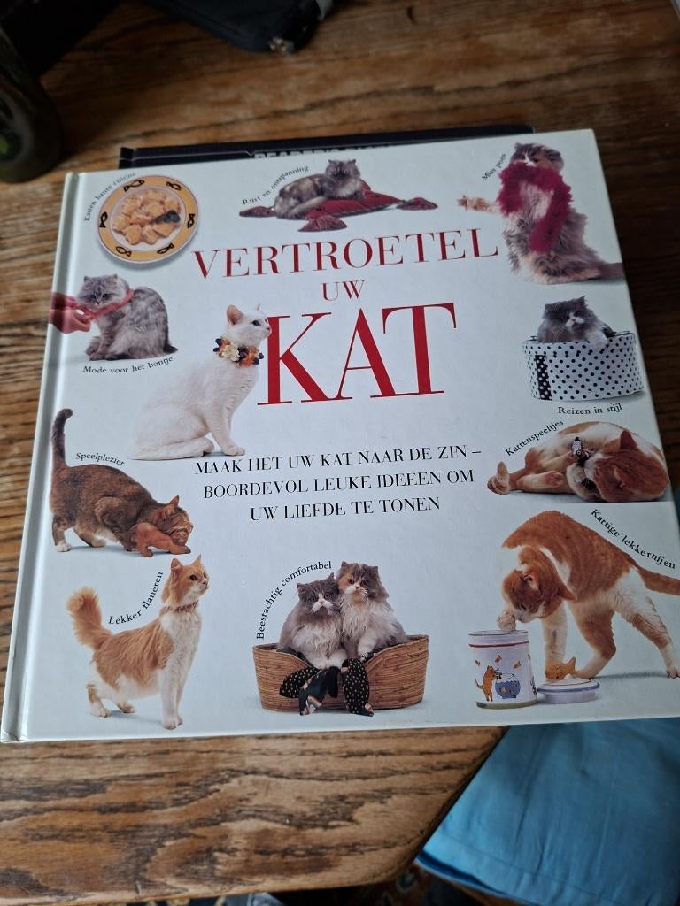 Boek over het vertroetelen van katten, Boeken, Nieuw, Katten, Ophalen, Onbekend