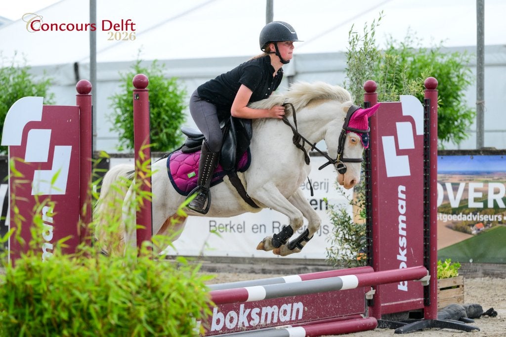 Unieke Welsh merrie, Dieren en Toebehoren, Pony's, Merrie, B, B pony (1.17m tot 1.27m), Springpony, 3 tot 6 jaar, Met stamboom